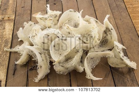 Group Of Uncook  And Dirty Swallow Nest