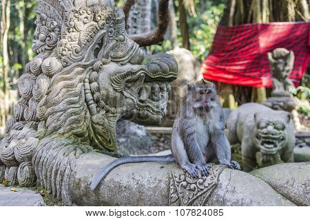 Long-tailed Macaques (macaca Fascicularis) In Sacred Monkey Forest, Ubud, Indonesia