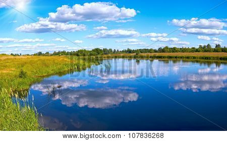 Summer Rushy Lake Panorama