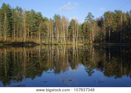 Forest Lake
