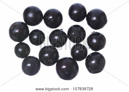 Jabuticaba Fruit Isolated On White