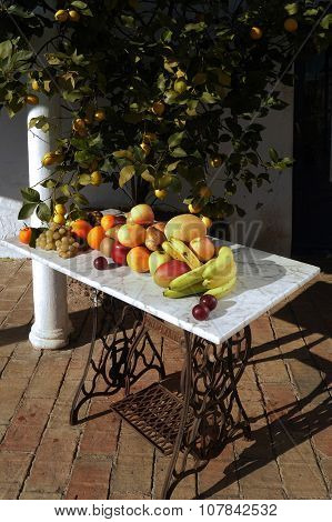 still life of fruit