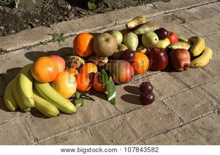 Still Life Of Fruit With Sunlight