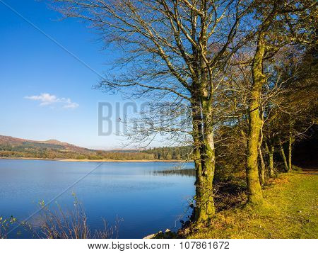 Burrator Reservoir Dartmoor Devon
