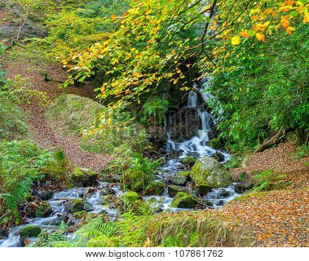 Waterfall Dartmoor National Park England