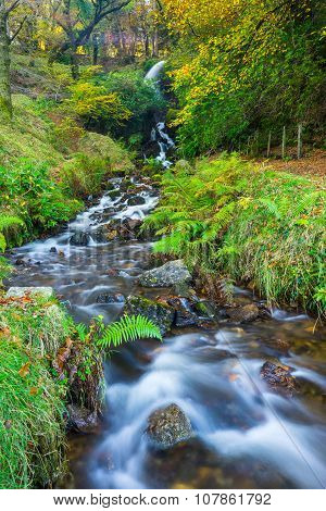 Waterfall Dartmoor National Park England