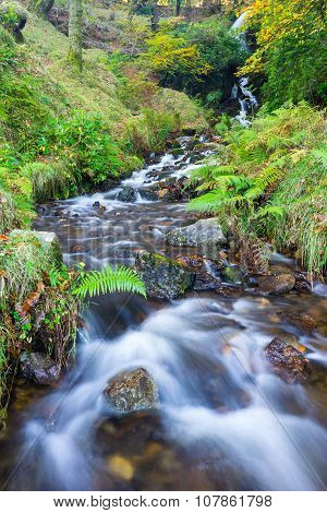 Waterfall Dartmoor National Park England