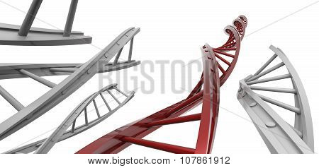 Dna Ladder