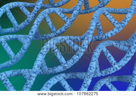 Dna Strands