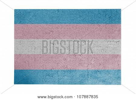 Large Jigsaw Puzzle Of 1000 Pieces- Trans Pride
