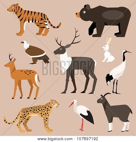 Set Of Animal Far East. Vector Illustration