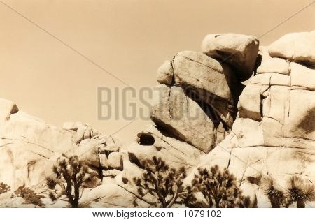 Parque Joshua Tree, sépia