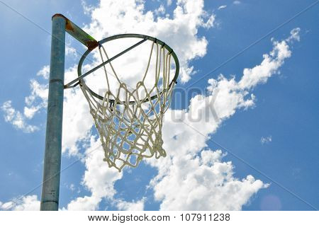 Net Potential