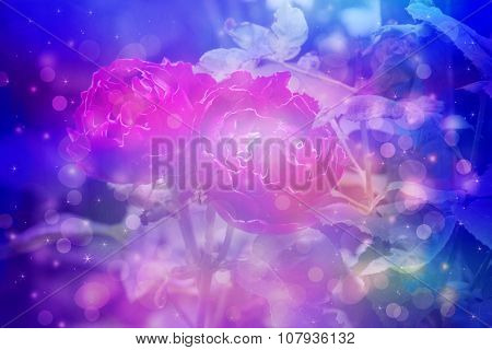 Dreamy Background With Beautiful, Egzotic Flowers Close Up
