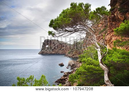 Na Foradada Cape. Mallorca