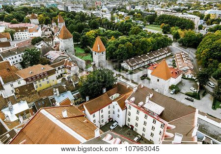 The View From The Top Of The Cathedral Of St. Olaf  In Old Tallinn At Sunset.