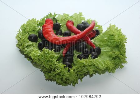 Olive_Leaf_Pepper