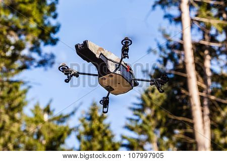 Scout Drone In The Wild