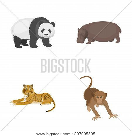 Bamboo bear, hippopotamus, wild animal tiger, monkey . Wild animal set collection icons in cartoon style vector symbol stock illustration .