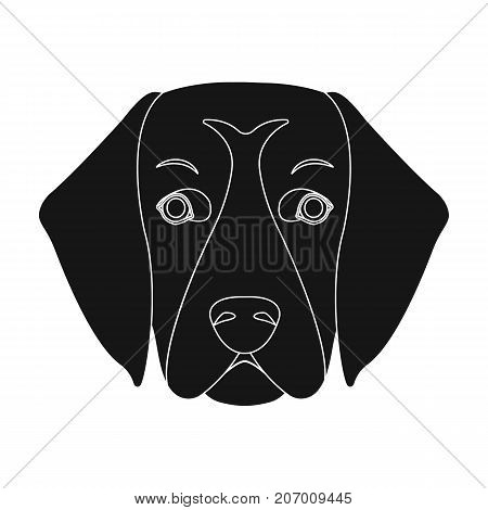 A dog breed, a golden retriever.Muzzle of the Golden Retriever single icon in black style vector symbol stock illustration .