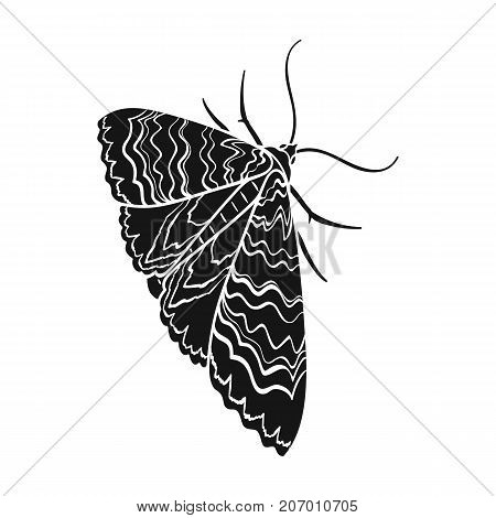 Moth, night butterfly. Insect pest moth single icon in black style vector symbol stock isometric illustration .