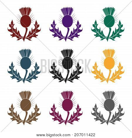 Thistles with green leaves.Medicinal plant of Scotland.Scotland single icon in black style vector symbol stock  illustration.