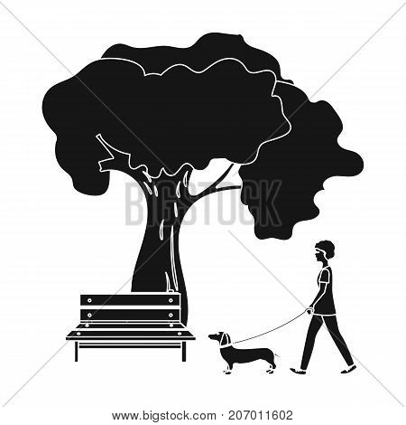 Tree and bench, woman walks a pet in the park. Pet, Dog care single icon in black style vector symbol stock illustration .