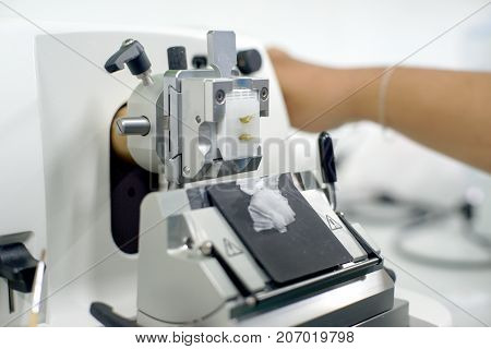 Rotary Microtome Section for diagnosis in pathology (Soft focus)