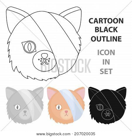 Sick cat with bandage on a head icon in cartoon design isolated on white background. Veterinary clinic symbol stock vector illustration.