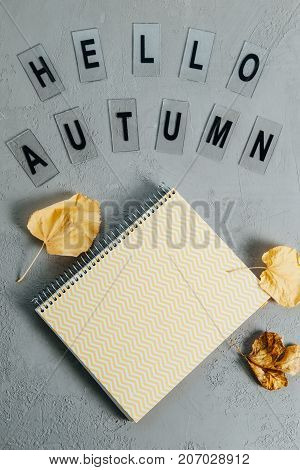 Flat lay comosition: letters with the text hi autumn notebook pencils dry leaves on a gray background
