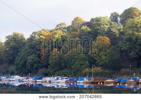 Trees and boats reflecting in the water. Warm green and yellow colors