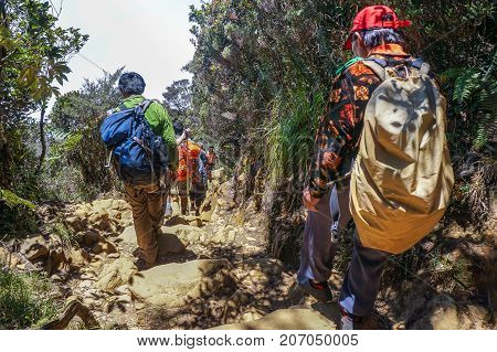 Ranau,Sabah,Malaysia-March13,2016: Group of climbers move down from Laban Rata to Timpohon Gate at the Majestic Mount Kinabalu,Sabah.There are two new summit trails,Ranau Trail & Kota Belud Trail.