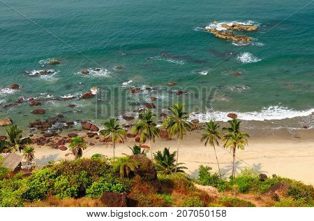 Sand tropical beach with coconut trees and traditional boat - Arambol beach Goa India