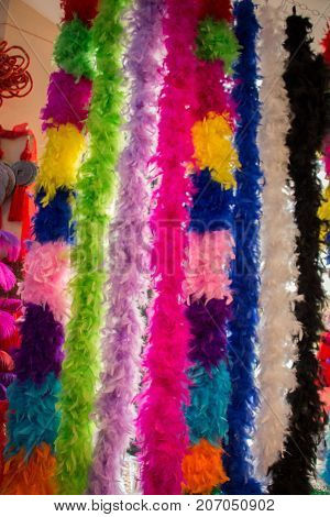 Beautiful  colorful bird feathers for decorative purposes