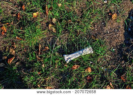 One Small Bone Of Animal Lying On Green Grass With Autumn Leaves