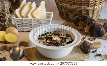 creamy soup of forest mushrooms, dill, eggs and cream - Kulajda