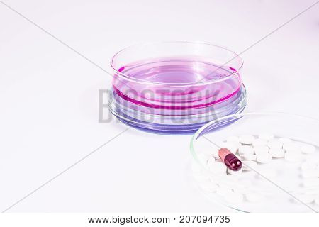 pills analyzing. pills and color liquid in petri dishes. laboratory, science and clinic background.