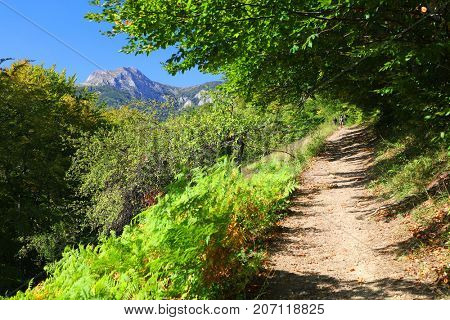 Alpine landscape in Cernei Mountains, Romania, Europe