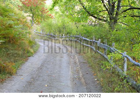 Mountain fall landscape in Cernei Mountains, Romania, Europe
