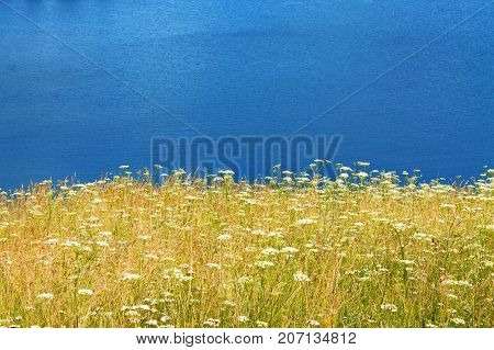 Green meadow in front against the background of water.