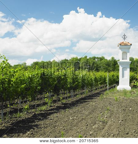 landsbyen kapel med Oliventrær nær Perna, Tjekkiet