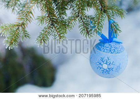 A blue fur-tree toy on a branch of blue fir-tree blue, green, white, Colorado blue spruce, Picea pungens covered with hoarfrost. New Year's Bekraund. A place for a copy-paste.