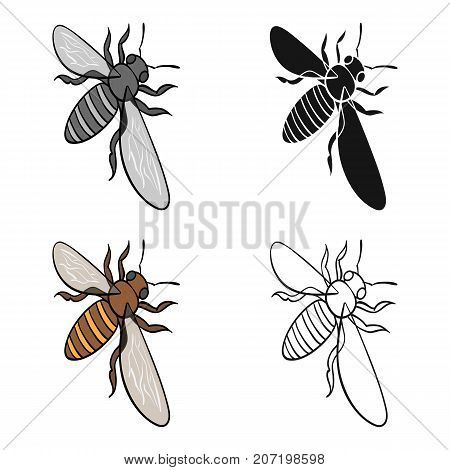 A bee, a hymenopteran insect. Stinging insect bee single icon in cartoon style vector symbol stock isometric illustration .