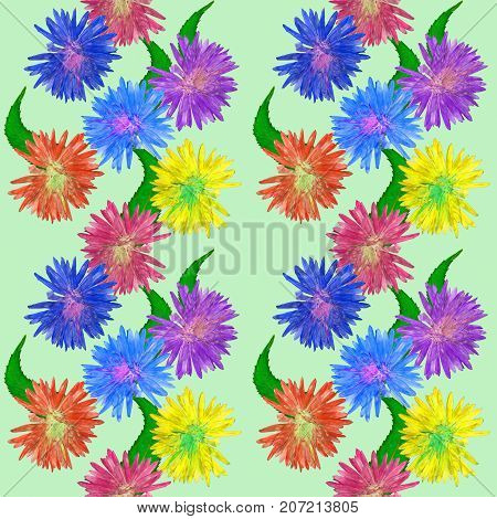 Aster Michaelmas daisy. Texture of flowers. Seamless pattern for continuous replicate. Floral background photo collage for production of textile cotton fabric. For use in wallpaper covers