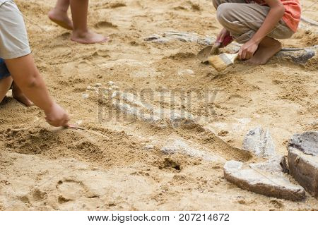 Children learning about, Excavating dinosaur fossils simulation in the park.