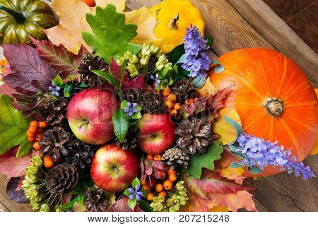 Ripe Red Apples, Pumpkins, And Blue Flowers