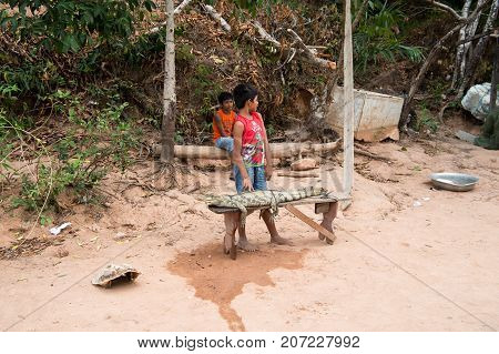 Boca de valeria Brazil - December 03 2015: boys selling crocodile bound to wooden bench on natural background. Poverty lifestyle and childhood concept