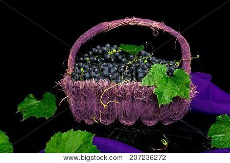 Red Wine Grapes In Voiolet Basket On Bllack Background.