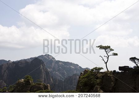Amazing Stunning View Of Huangshan Mountain, Yellow Mountaing. Anhui, China From The Peak. Travel In