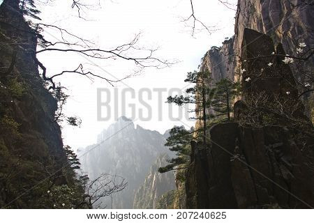 Amazing Stunning View Of Huangshan Mountain, Yellow Mountaing. Anhui, China From The Peak. Travel In